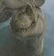 The Doe