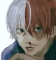 Shoto todoroki 