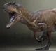 Allosaurus