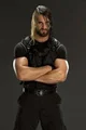 Seth Rollins