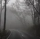 Whispers in the Fog