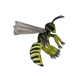 Giant Wasp-HB