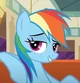 rainbow dash