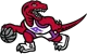 Toronto Raptors