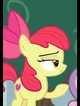 Apple Bloom 