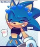 Sonica The Hedgehog