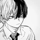 MHA Shoto Todoroki 