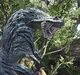 Tobi Kadachi