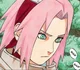 NR Sakura Haruno