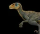 Velociraptor