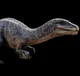 Baryothus