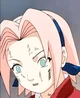 Sakura chunin exams