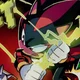 SHADOW T HEDGEHOG 