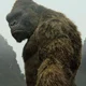 King Kong