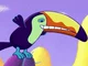 Taco the Toucan