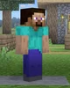 Minecraft Steve