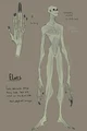 Skinwalker 