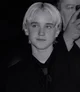 Draco L Malfoy