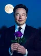 Elon musk X wolfie