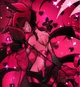 HH- Alastor