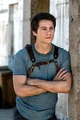 Thomas Maze Runner