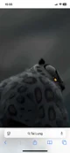 Tai Lung