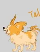 Tails the Papillon