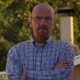 Walter White 