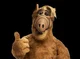 ALF