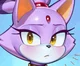 Blaze the Cat