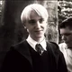 Draco