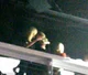 Taylor Alison Swif 