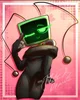 Vee DW