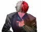 Shoto Todoroki 