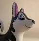 Shadow the Husky 