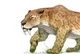 Smilodon Populator