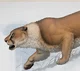 Eurasian Cave Lion
