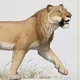 American Lion