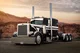 Peterbilt 359