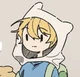 Finn The human