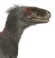 Moros Intrepidus
