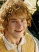 LOTR - Meriadoc