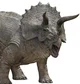 Triceratops