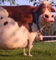 Cow TSLOP