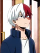 Shoto Todoroki 