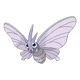Venomoth
