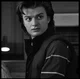 Steve Harrington 