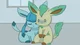 Leafeon 