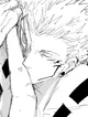 Ryomen Sukuna