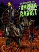 Pumkin rabbit 
